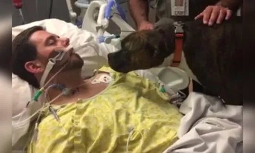 Hospital permite que cachorra se despeça do dono à beira da morte, veja vídeo