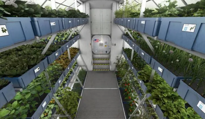 NASA cria 'estufa' para astronautas plantarem alimentos em estação espacial  