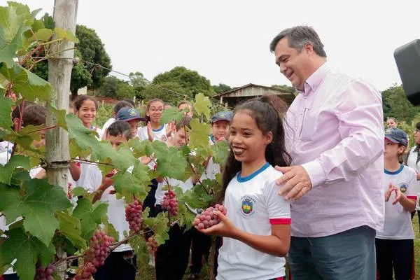 Programa Terra Forte leva estudantes para acompanhar colheita da uva. Foto: Assssoria