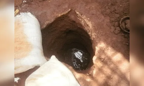 Besouro preso em fiação dispara alarme de cadeia e polícia impede fuga de presos