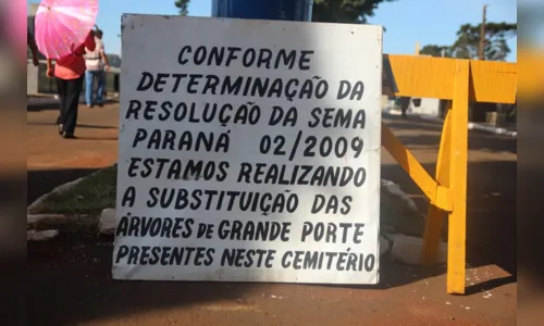 
						
							Prefeitura realiza corte de árvores no Cemitério Cristo Rei 
						
						