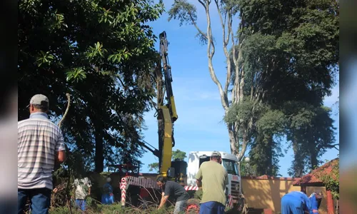 Prefeitura realiza corte de árvores no Cemitério Cristo Rei 