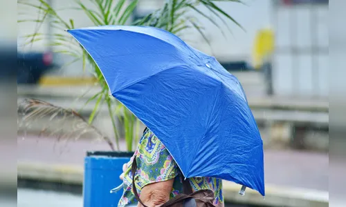 Chuvas de verão devem marcar a semana em Apucarana e região