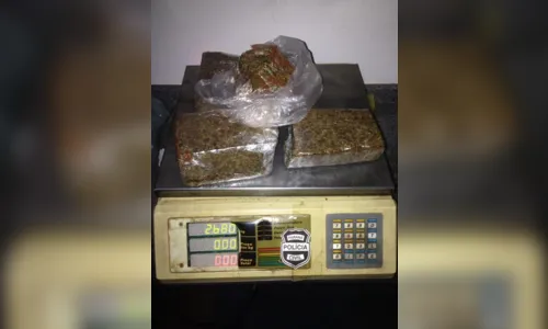 
							GM de Arapongas apreende 2,6 kg de maconha que estavam enterrados
						
						