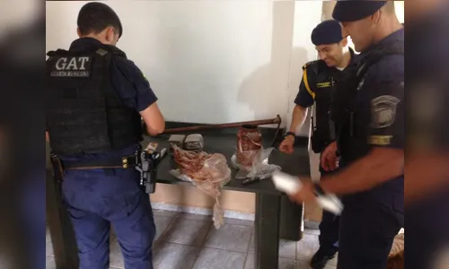 GM de Arapongas apreende 2,6 kg de maconha que estavam enterrados