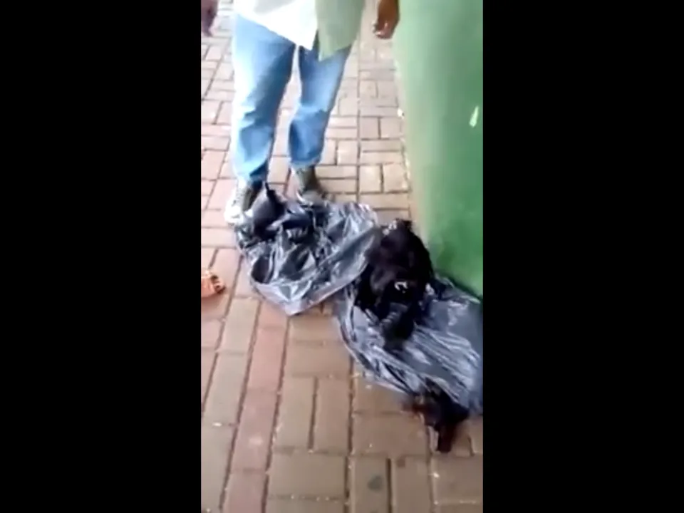 Cachorrinho foi deixado sobre uma lona no meio da calçada. (Foto - reprodução/Facebook)