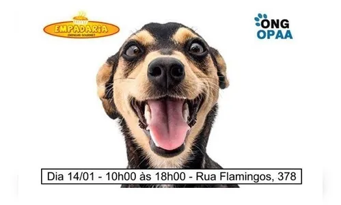 ONG Opaa faz campanha de empadas para obter recursos