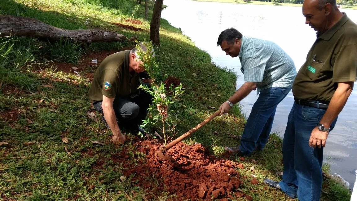 Prefeito plantou uma muda de cerejeira com ajuda do secretário de Agricultura. Foto: José Luiz Mendes 