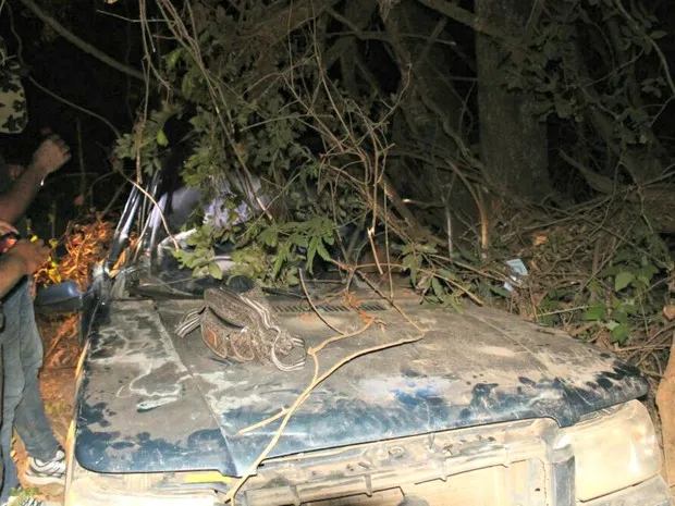 Carro da família saiu da pista, capotou e se chocou com árvore - Foto: Corpo de Bombeiros/ Divulgação)