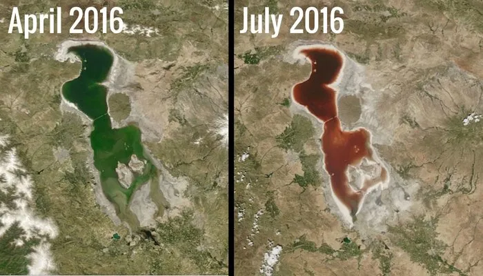  O antes e o depois - NASA lança imagens preocupantes da Terra - Imagem: NASA