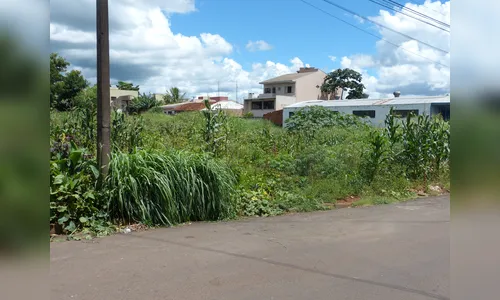 Arapongas notifica 200 terrenos por risco de infestação do Aedes aegyptis
