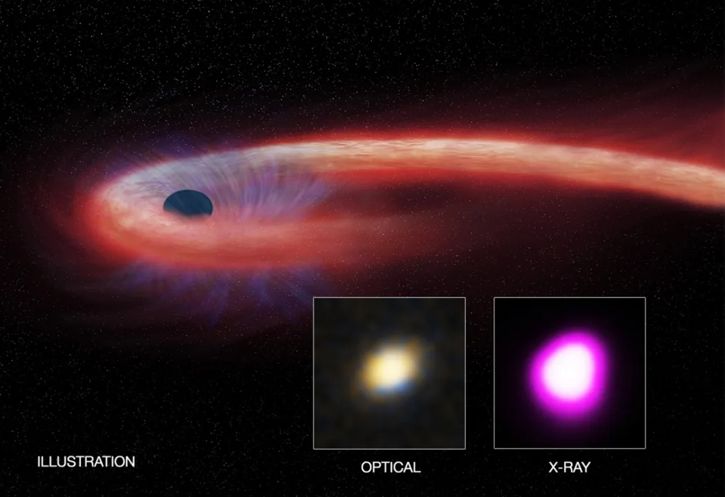 O vermelho mostra material mais quente que cai em direção ao buraco negro e gera um raio X distinto.  Crédito: CXC/ M. Weiss/NASA / CXC