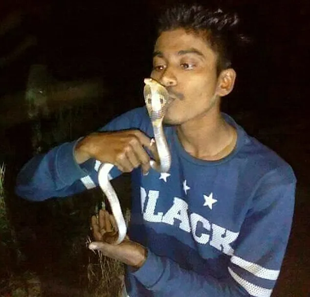 Somnath Mhatre morreu cinco dias depois de ter sido picado por uma cobra que ele ele tentou beijar - Foto Newslions/SWNS.com/Daily Mail