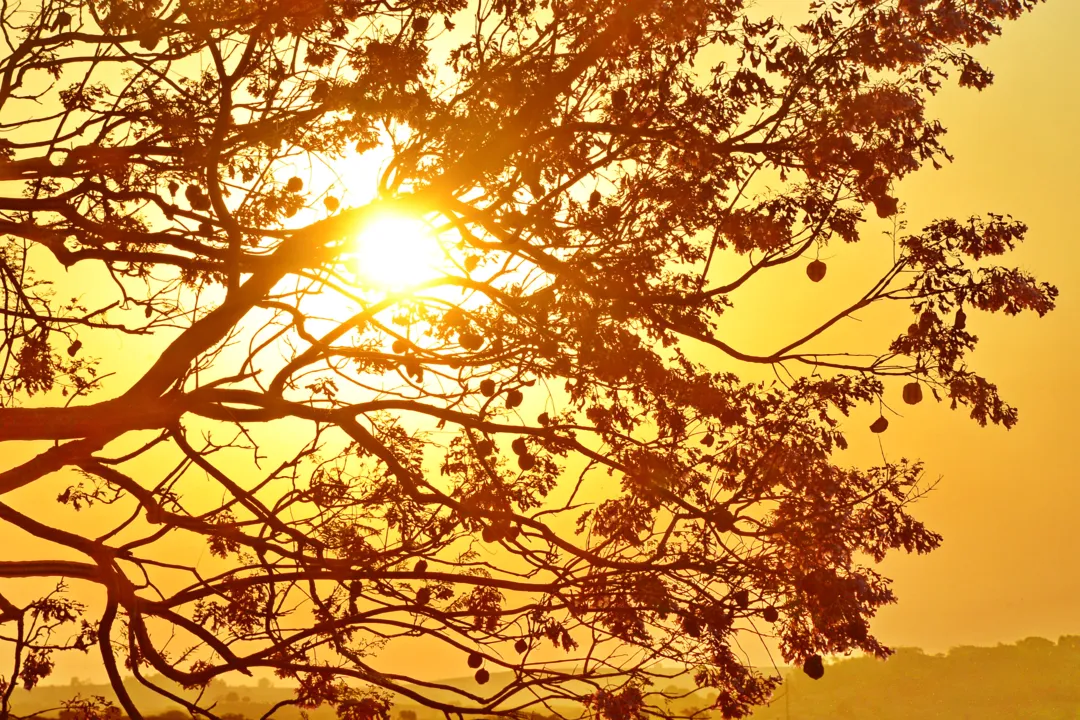 Sol prevalece até sexta-feira, pelo menos. (Foto - Sérgio Rodrigo)