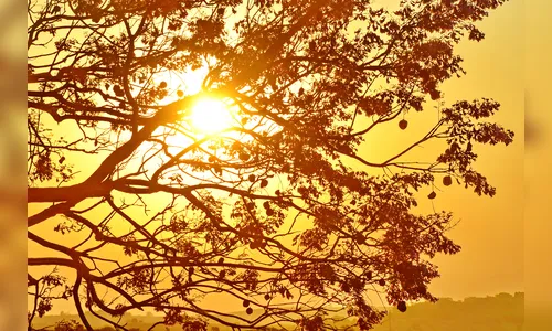 Temperaturas podem chegar aos 35ºC na região nesta semana