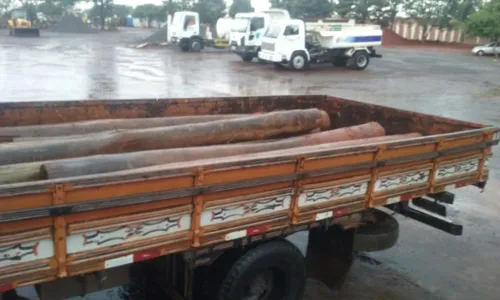 
							Codar denuncia furto de toras de eucalipto 
						
						