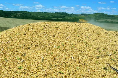 Na maior safra da história, Paraná poderá colher 19 milhões de toneladas de soja