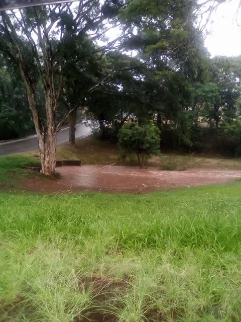 Acúmulo de água da chuva no Parque Biguaçu - Foto: Reprodução/Facebook