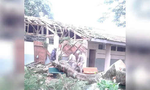 Galho de árvore cai e danifica telhado de escola em Arapongas