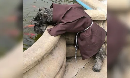 
						
							Cãozinho de rua é transformado em frei após ser adotado por monges
						
						