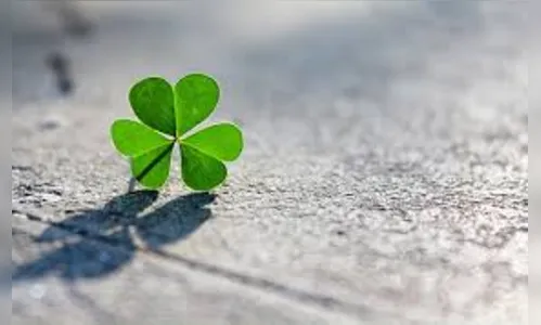 Lotofácil Além da Sorte: Conheça os Melhores Números para Apostar 