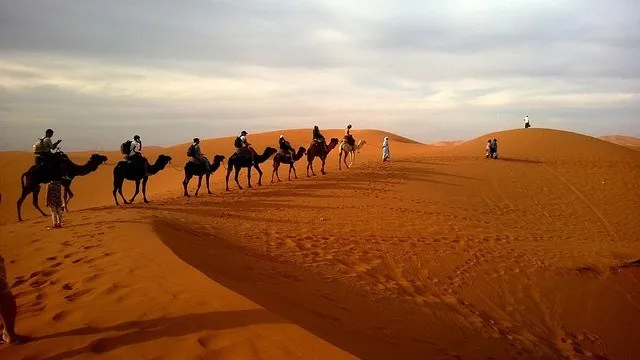  Cientistas apurara que o território do Deserto do Saara secou por causa da atividade humana - Foto: Pixabay