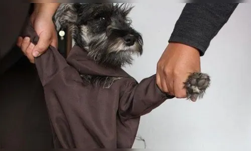 Cãozinho de rua é transformado em frei após ser adotado por monges