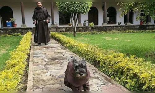 
						
							Cãozinho de rua é transformado em frei após ser adotado por monges
						
						