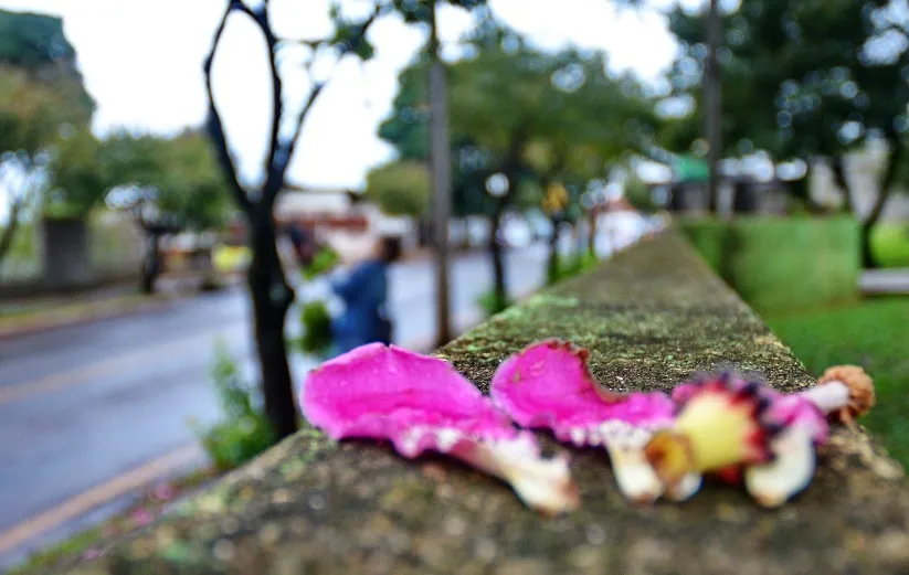 O outono no Hemisfério Sul começa oficialmente às 18h58 (hora de Brasília) do dia 20 de março.