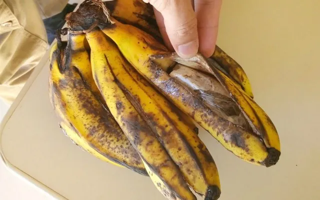 Polícia localizou 83 gramas de maconha em frutas que seriam entregues a detento - Foto: PM/Divulgação