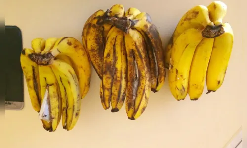 
							PM apreende pencas de bananas recheadas com maconha no Paraná
						
						
