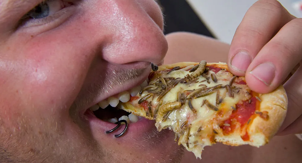 Insetos são aleternativa para combater a fome no mundo, dizem pesquisadores - Foto: FABRICE COFFRINI/AFP 2017/Sputinik