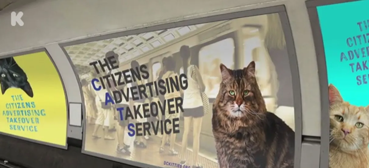  Veja como deve ficar estação com fotos de gatos - Foto: The Citizens Advertising Takeover Service/Kickstarter 
