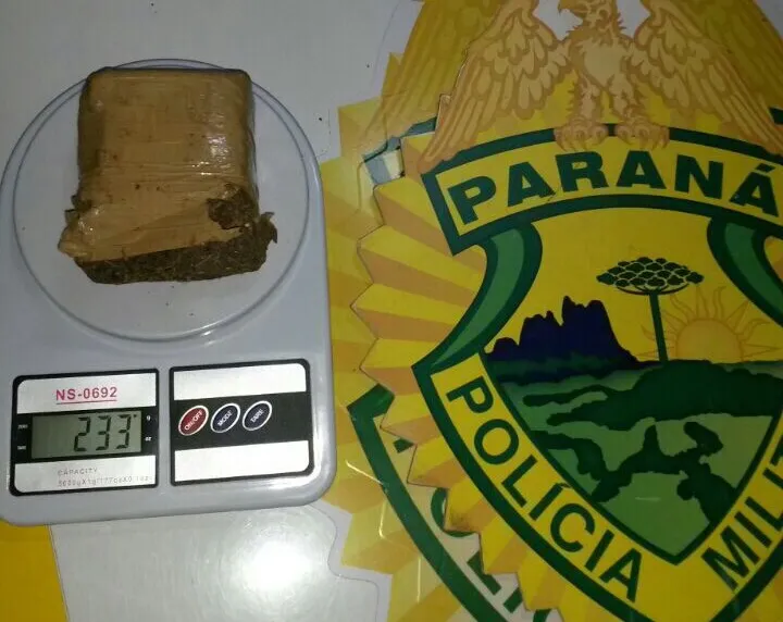 A droga seria entregue na cidade vizinha em Jardim Alegre. (foto - PM)