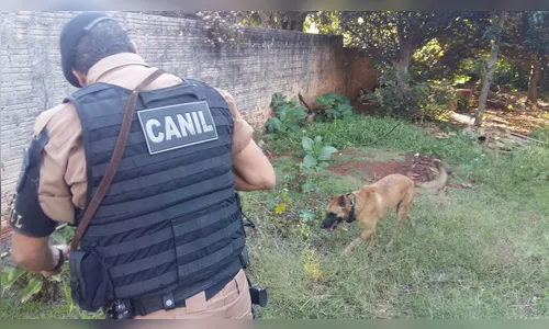 PM detém duas pessoas e apreende drogas e armas em Arapongas