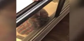 Vídeo mostra a etíope pendurada na janela com uma mão, gritando por ajuda - Foto - Reprodução Youtube