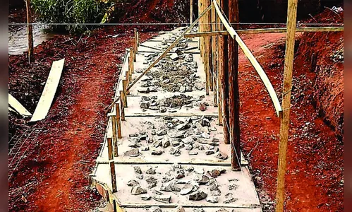 Prefeitura de Arapongas começa reconstrução de pontes na zona rural