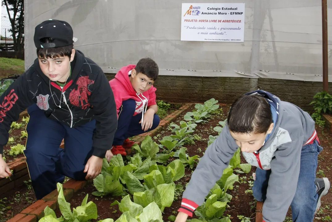 Escolas estaduais dão lição de sustentabilidade. Foto: Assessoria