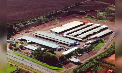 Ceasa de Londrina abre na Sexta-feira Santa