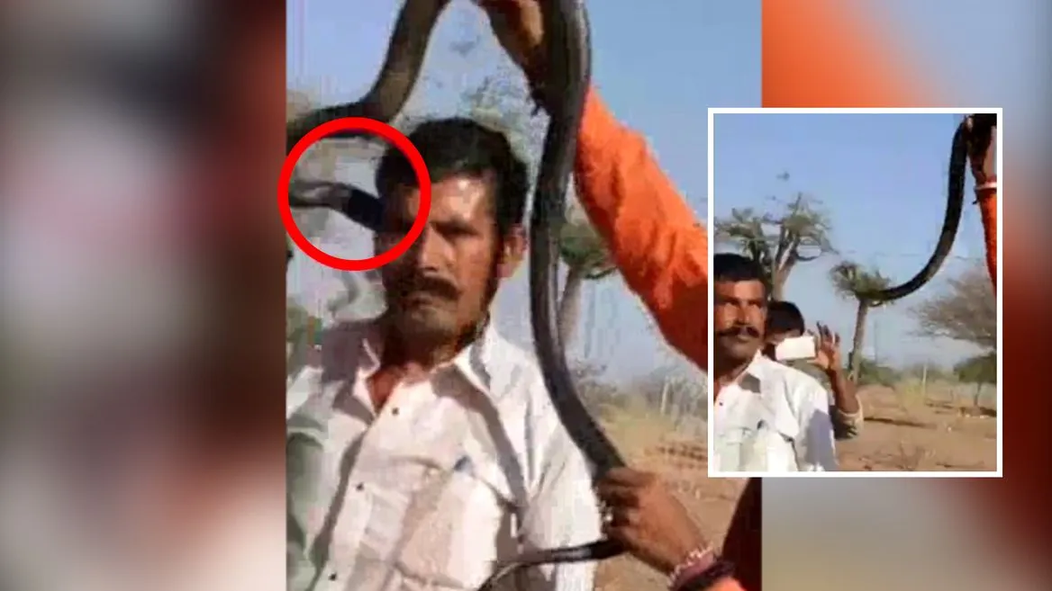 Turista que foi atacado pela cobra inicialmente não se deu conta da mordida - Imagem - The Mirror