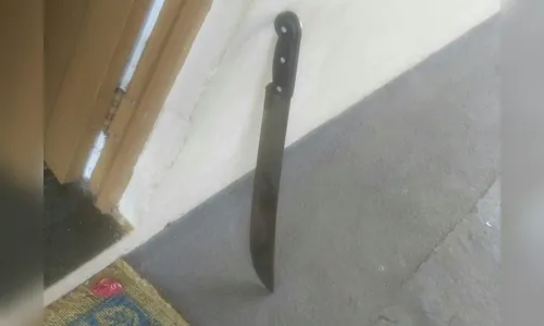 Dupla armada com facão invade casa e faz grávida refém