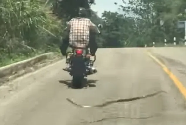Motociclista teve que se desviar e levantar as pernas para não ser picado - Foto: Reprodução/YouTube
