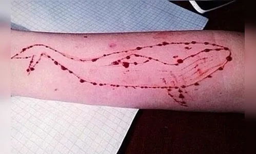 Boato sobre ''Baleia Azul