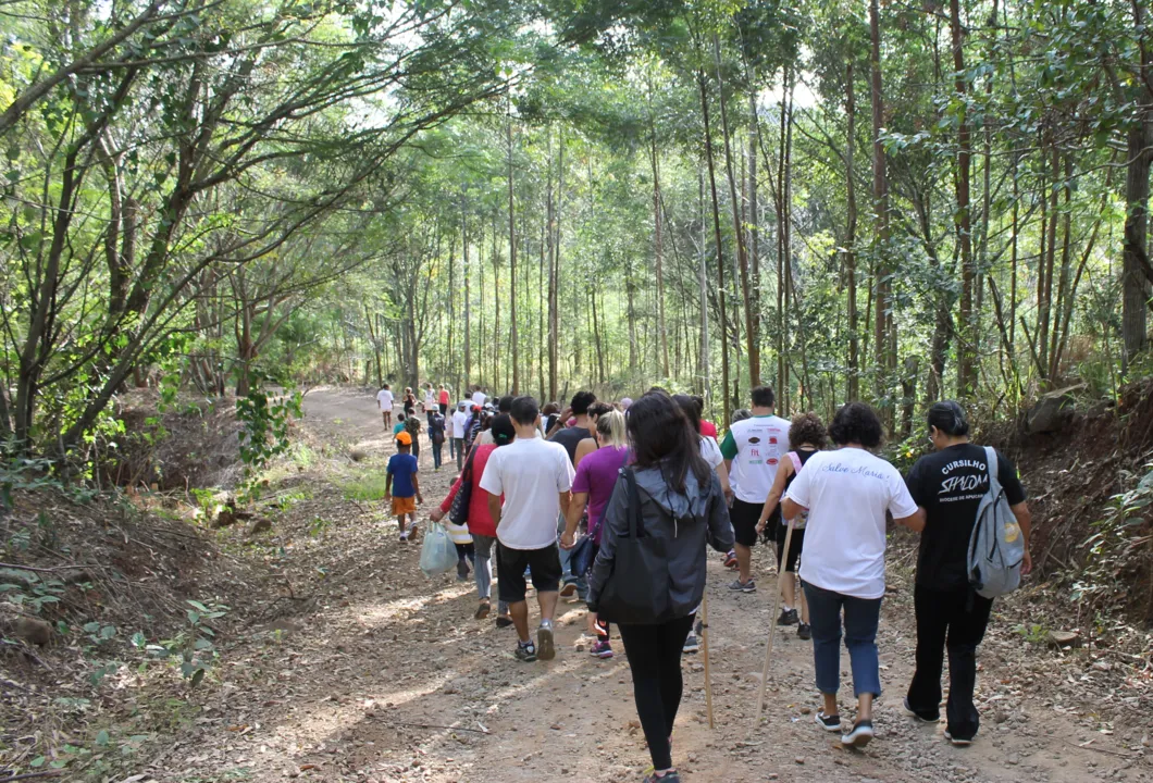 Caminhada acontece no próximo domingo (30). Foto - reprodução: assessoria de imprensa