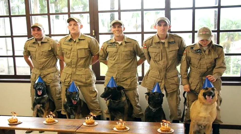 Foto: Polícia Militar SC/Divulgação