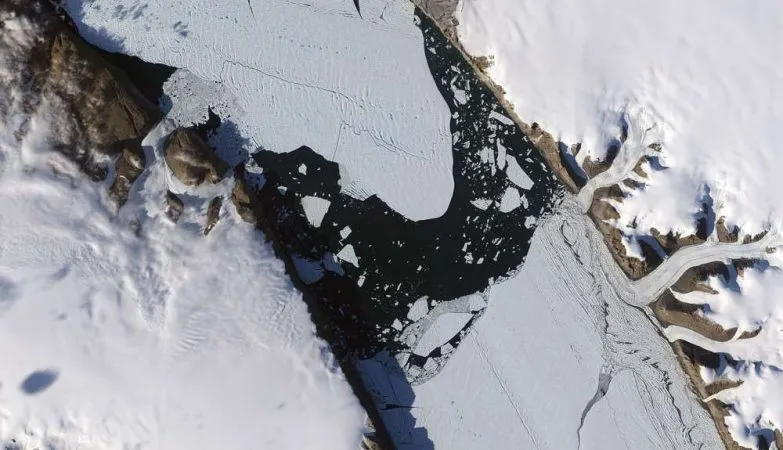 Imagens de satélite da ilha de gelo que surgiu em 2010. Na altura, tinha 260 quilómetros quadrados - Foto: NASA