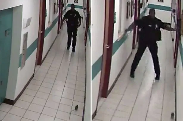 Policial levou um baita susto com um rato e saiu correndo de medoFoto - Reprodução - YouTube
