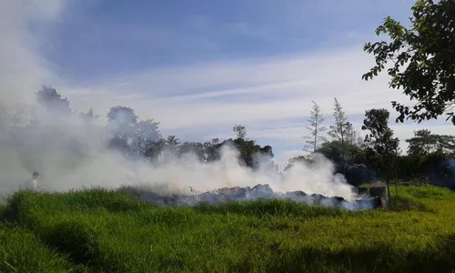 GM Ambiental já atendeu 320 ocorrências em 2017