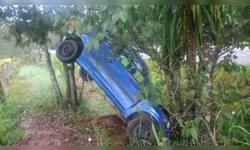 Carro capota e bate contra árvore em Cândido de Abreu