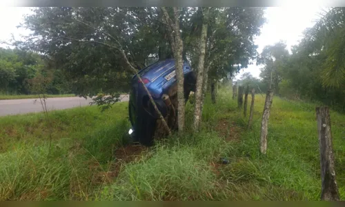 
							Carro capota e bate contra árvore em Cândido de Abreu
						
						